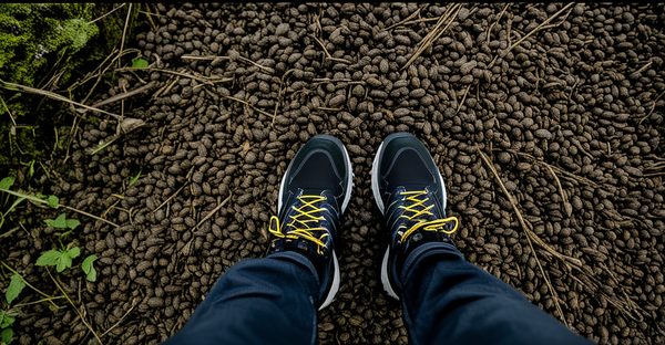 Soseco : sécurité, confort et énergie dans la province de liège